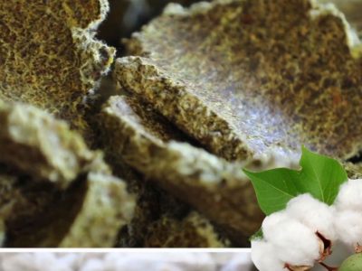 Cotton Seed Oil Cake - Manufacturers - Suppliers - Exporters - Importers