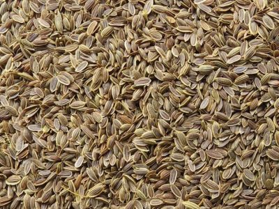 Dill Seeds - Manufacturers - Suppliers - Exporters - Importers