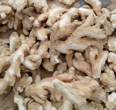 Dry Ginger - Manufacturers - Suppliers - Exporters - Importers