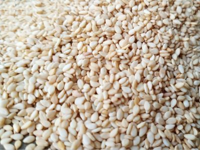 Natural White Sesame Seeds - Manufacturers - Suppliers - Exporters - Importers
