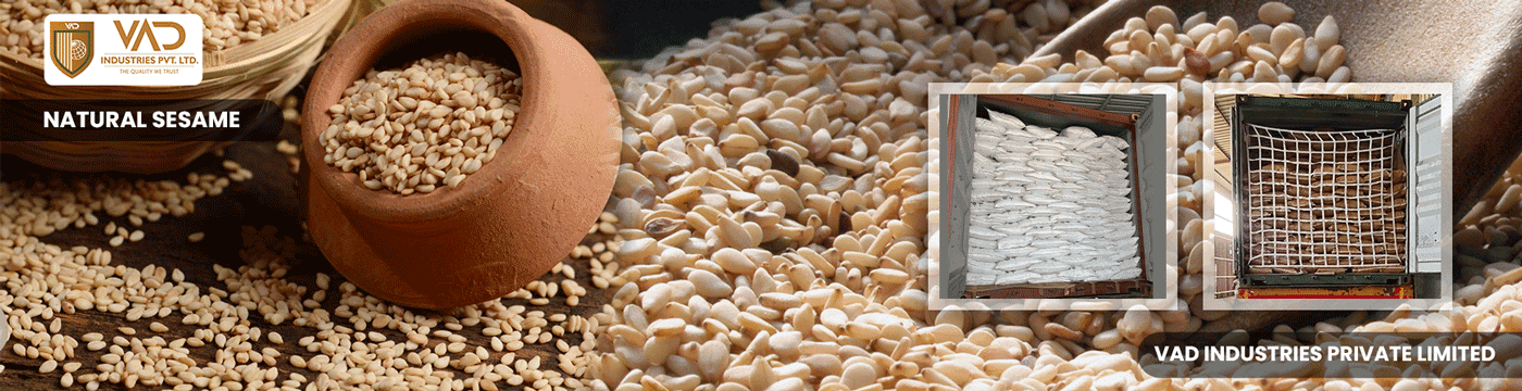 Natural White Sesame Seeds - Manufacturers - Suppliers - Exporters - Importers