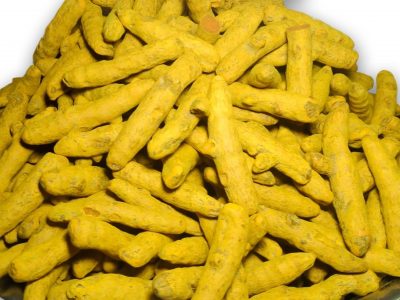 Turmeric Finger - Manufacturers - Suppliers - Exporters - Importer